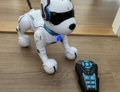 Robothund Leksaker
