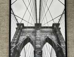 Tavla (”Brooklyn Bridge”)