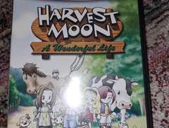 gamecube spel harvest moon.