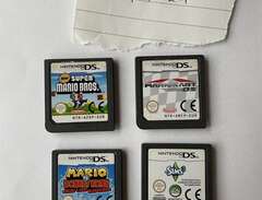 Nintendo DS spel