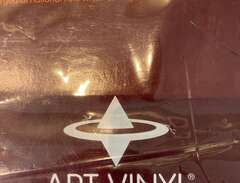 Art Vinyl ramar för LP-skivor