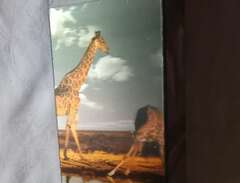 3D pussel Giraffer vid vatt...