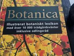 Botanica  botaniskt lexikon