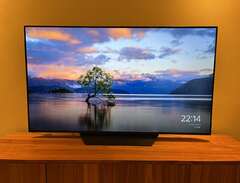 55” OLED-TV (LG OLED55B9PLA)