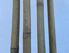 Bambupinnar / Bambukäppar