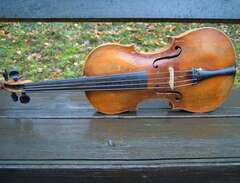 Violin, Stainermodell 1800-...