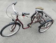 3-hjulig cykel. Vuxen