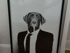 Tavla på hund i slips
