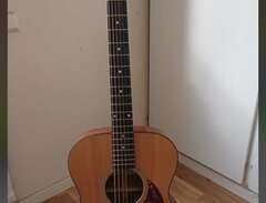Eastman E10M, gitarr