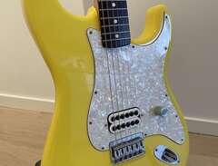 Fender Stratocaster Tom Del...
