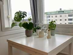 IKEA Bjursta table