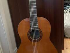 Acoustic guitar with stand...