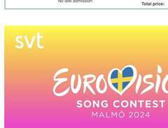 Eurovision Song Contest Sem...
