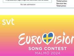 Eurovision Song Contest Sem...