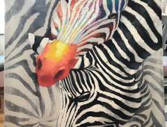 Zebra oljemålning/canvas/fi...
