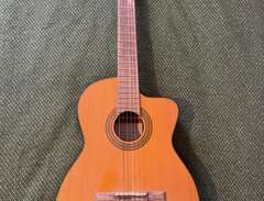 Takamine G-series (Acoustic...