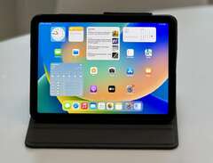 iPad Air  Rymdgrå (4:e gene...