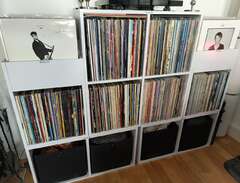 Vinylsamling / LP-samling s...
