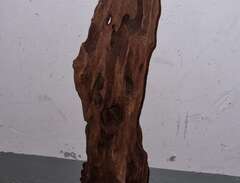 Mangroverötter,  från 45cm.
