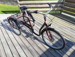 3-hjulig cykel. Vuxen