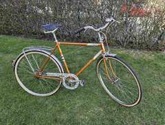 Herr cykel REX LYX28 tm ,3...