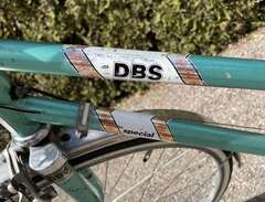 DBS damcykel