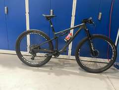 S-works Epic 2021.