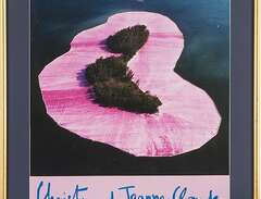 CHRISTO & Jeanne-Claude, ex...