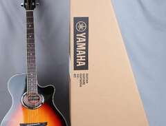 Yamaha APX500III VS Thinlin...