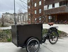 Cargobike Classic Box - Oan...