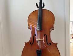 Fullstorlek Cello med tillb...