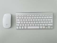 Apple tangentbord + mus