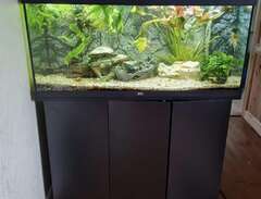 150 liters akvarium
