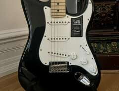 Fender Stratocaster Player...