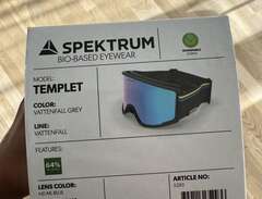 Spektrum Templet Skidglasögon