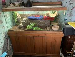 Large fish tank or enclosur...