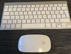 Apple- Magic keyboard och m...