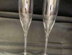 2 champagneglas Orrefors  O...