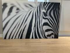 tavla zebra motiv