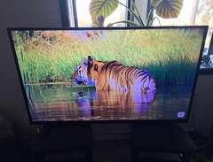 Luxor 55" Smart LCD TV Full...