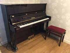 Wendl & Lung piano