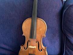 Fjol Antonius Stradivarius...