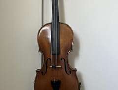 Fiol/Violin