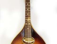 Levin mandolin, modell 43