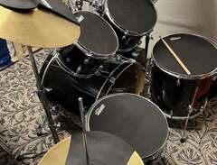 Pearl Export trumset