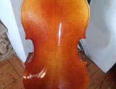 Cello med stråke.