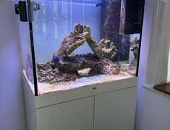 Juwel Lido 200 akvarium