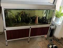 300 liters åleds akvarium