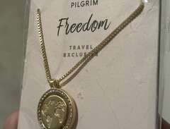 pilgrim freedom