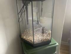 hex akvarium 60 liter